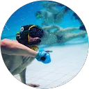 Richard Cleary profile picture